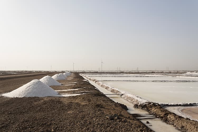 Not Just a Pinch of Salt