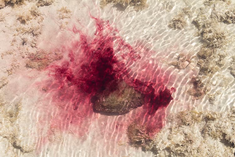 The Breathing Rocks
