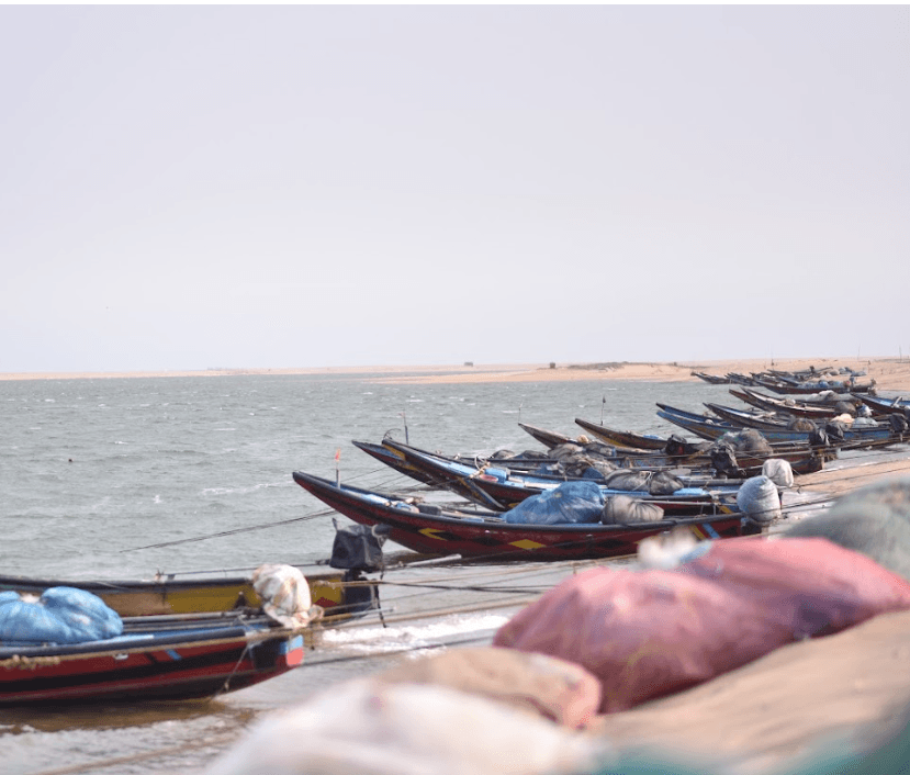 At the Confluence of Rushikulya